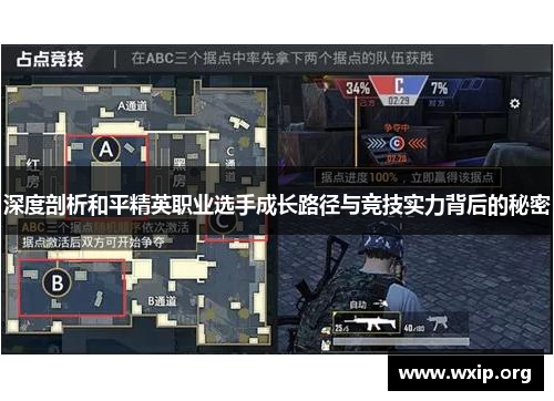 深度剖析和平精英职业选手成长路径与竞技实力背后的秘密