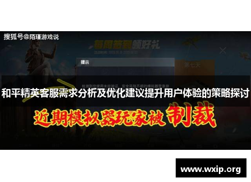 和平精英客服需求分析及优化建议提升用户体验的策略探讨